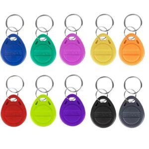 Porte-clés RFID EM4100 125 kHz pour lecteur et système de contrôle d’accès compatible